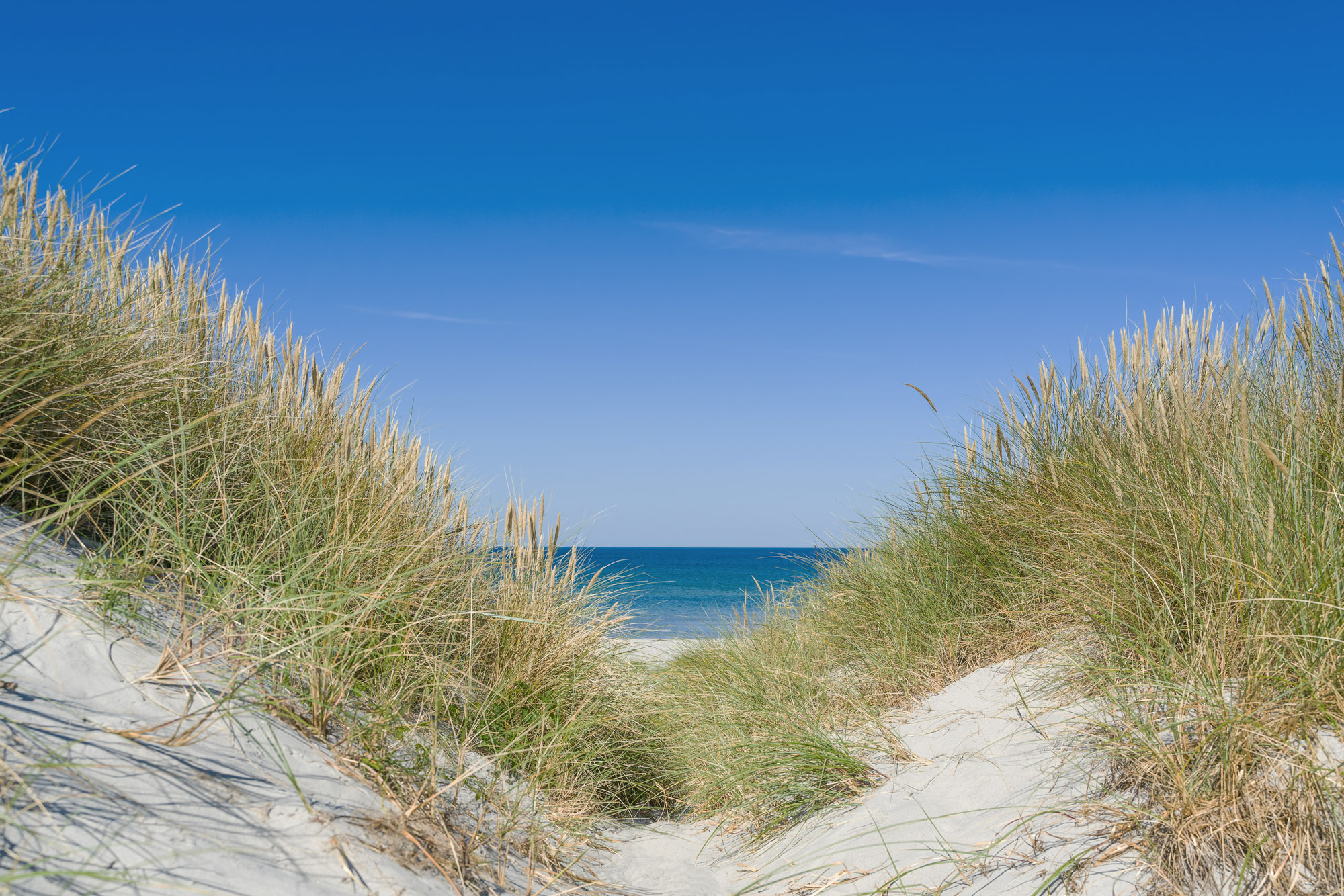 Düne und Strand auf Juist